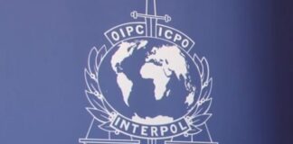 izrucenje-srbiji-ceka-vise-od-20-begunaca:-od-arkanovog-ubice-do-zvicerovih-vojnika,-vecina-u-svetskim-zatvorima-i-ekstradicionim-pritvorima