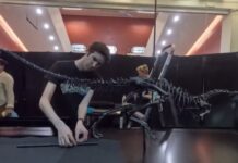 bio-je-velicine-labradora:-nova-vrsta-dinosaurusa-„zagonetni-trkac“-u-britanskom-prirodnjackom-muzeju-(video)