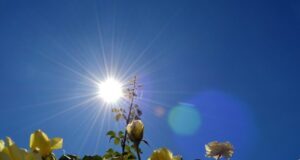 vremenska-prognoza:-suncano-i-veoma-toplo-–-nedeljnik