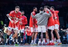 ovo-ce-obradoviti-zvezdase:-dobro-poznato-lice-se-vraca-medju-crveno-bele