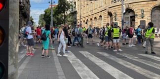 petrov-i-vuletic:-drzava-da-reaguje-ako-bude-nereda,-za-gradjansku-neposlusnost-odgovarati