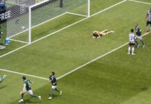 svetsko-klupsko-prvenstvo:-palmeiras-je-u-cetvrtfinalu,-paulinjo-srusio-botafogo-(foto/video)
