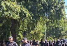 novo-hapsenje-u-zemunu:-mladic-priveden-na-blokadi-–-nedeljnik
