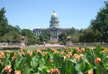 denver-sve-jaci:-nagetsi-doveli-jos-jedno-pojacanje!