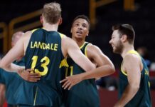 da-li-je-vreme-za-povratak-u-partizan?-hjuston-otpustio-bivseg-centra-crno-belih