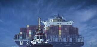 „trazim-decka-koji-zna-da-vozi-traktor,-kopa-i-ore-njivu“:-aleksandra-mladenovic-raspisala-konkurs-za-novog-momka