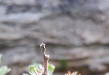 „idioti,-seljacine,-kreteni-i-smradovi!“-selektor-hrvatske-brutalno-napao-igrace,-ceo-region-u-soku