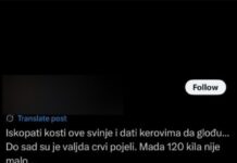 grob-divne-karleuse-oskrnavljen:-jezivi-komentari-na-racun-mrtve-zene!