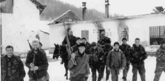 trudicu-ubili-bez-milosti:-svedocenja-o-zlocinima-srebrenickih-muslimana-–-ljilja-se-kretala-teze,-bojala-se-da-se-ne-oklizne