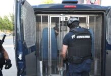 uhapsen-drzavljanin-slovenije,-osumnjicen-da-je-na-blokadi-u-zrenjaninu-udario-zenu-na-pesackom-prelazu-–-nedeljnik