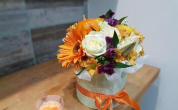 samo-jedan-iz-srbije:-ovo-su-pobednici-zvezda-granda-u-poslednjih-10-godina