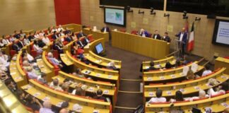 bliski-vekovima:-u-francuskom-senatu-odrzana-konferencija-na-temu-prijateljstva-izmedju-francuske-i-srbije