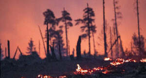 hitne-mere-za-suzbijanje-vise-od-1.000-pozara-na-deponijama-u-srbiji:-uvedena-24‑casovna-dezurstva-i-zabrana-pristupa-–-nedeljnik