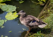 zeljko-bebek-zatekao-se-usred-oluje-u-splitu:-“priroda-je,-kao-i-uvijek,-nepobjediva-i-nesalomljiva.”