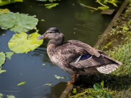 zeljko-bebek-zatekao-se-usred-oluje-u-splitu:-“priroda-je,-kao-i-uvijek,-nepobjediva-i-nesalomljiva.”