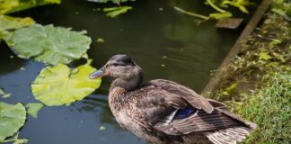 zeljko-bebek-zatekao-se-usred-oluje-u-splitu:-“priroda-je,-kao-i-uvijek,-nepobjediva-i-nesalomljiva.”