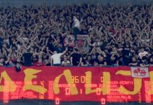 zvezda-pravi-ozbiljan-sampionski-tim!-nba-pojacanje-oblaci-crveno-beli-dres