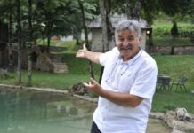 bosanac-prelazi-u-“pinkove-zvezde”-a-vraca-se-i-milan-stankovic:-okrsaj-show-programa-sve-gori!