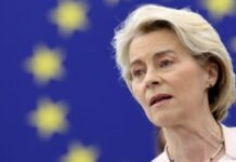 eu-produzava-suspenziju-carinskih-kontra-mera-prema-sad-–-nedeljnik