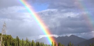 „duhovi-pokojnih-roditelja-me-progone“:-zorannah-prozivljava-agoniju,-usudila-se-i-na-ovaj-korak