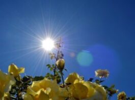vreme-danas:-pretezno-suncano-i-toplo,-dnevna-temperatura-do-36 °c-–-nedeljnik