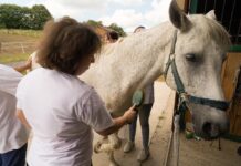 galop-radosti:-deca-iz-„zvuka-srca“-provela-dan-u-prirodi-sa-petrom-strugarom-–-nedeljnik