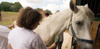 galop-radosti:-deca-iz-„zvuka-srca“-provela-dan-u-prirodi-sa-petrom-strugarom-–-nedeljnik