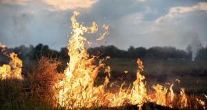 tri-aktivna-pozara-u-toplickom-okrugu:-helikopteri-i-vatrogasci-bore-se-sa-vatrenom-stihijom-–-nedeljnik