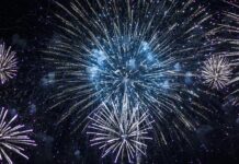 desant-festival:-zeljko-joksimovic-vise-ne-nastupa-toliko-puno,-ali-jajcu-nije-mogao-odoljeti!
