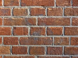 brick-–-letnje-sf-osvezanje