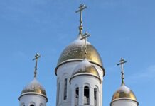 evo-ko-ce-menjati-ivanu-sopic-u-eliti-tokom-trudnoce:-pomenula-dva-imena
