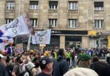 evropske-demokrate:-da-li-je-u-srbiji-sada-legalno-pregaziti-mirnog-demonstranta?-–-nedeljnik