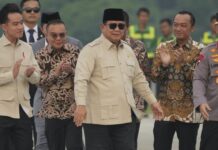 drzavno-obezbedjenje-za-“prvog”-macka-indonezije:-on-je-imovina-predsednika