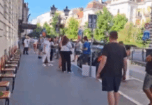 protest-u-novom-sadu-zbog-odrzavanja-ispita-u-skoli-ciji-je-ucenik-zrtva-pada-nadstresnice-–-nedeljnik