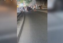 satima-drze-decu-blokiranu-u-autobusima:-teroristi-blokaderi-zgubidani-prevrsili-svaku-meru-(video)