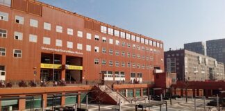 gotovo-je!-milano-se-zahvalio-nikoli-miroticu-(foto)
