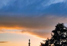 trese-se-mali-kalemegdan!-da-li-je-doslo-vreme-da-covek-o-kome-mastaju-navijaci-obuce-zvezdin-dres?