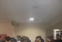 nasilna-deblokada-dunp-a:-batinasi-i-policija-izbacili-studente-iz-zgrade,-laznom-uzbunom-za-pozar-uveli-rektorku-i-profesore(video)-–-nedeljnik