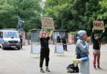zoo-vrt-u-nirnbergu-usmrtio-12-zdravih-pavijana-zbog-skucenog-prostora-–-nedeljnik