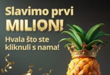 ananas-postao-milioner:-prvi-marketplace-u-srbiji-sada-nudi-milion-razlicitih-artikala-–-nedeljnik