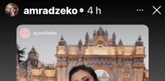 amra-dzeko-pokazala-brutalan-dekolte:-haljina-samo-sto-ne-pukne-od-pritiska!