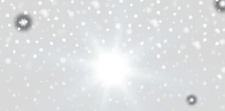 ovome-se-nije-nadala:-postupak-dragana-stojkovica-bosanca-razocarao-suzanu-jovanovic