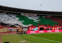 zvezda-dozivela-peh-pred-leh:-reprezentativac-srbije-se-povredio?