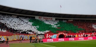 zvezda-dozivela-peh-pred-leh:-reprezentativac-srbije-se-povredio?