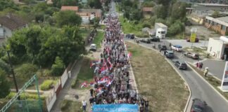 viore-se-zastave:-srpski-rodoljubi-idu-ka-sremskim-karlovcima-(video)