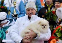 umka-je-hit-u-belorusiji:-pas-aleksandra-lukasenka-je-glavni-baja-u-zemlji-(foto/video)