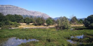 nema-srca:-terza-cerki-dao-20.000-dinara,-a-na-zlatiboru-za-noc-pukao-preko-hiljadu-evra