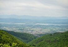 toni-bijelic-u-drustvu-svetske-face-uziva-u-monte-karlu:-„ti-i-ja-smo-jedno“-(foto)