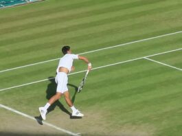 preminula-gabi-novak…