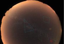 astronomi-za-„nedeljnik“-o-meteorskom-roju:-vrhunac-perseida-izmedju-utorka-i-srede-–-nedeljnik